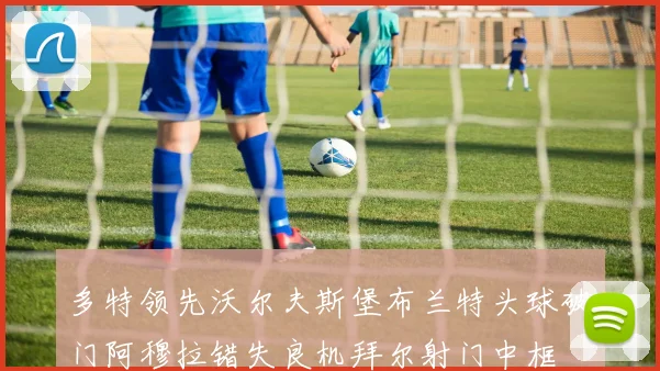 多特领先沃尔夫斯堡布兰特头球破门阿穆拉错失良机拜尔射门中框