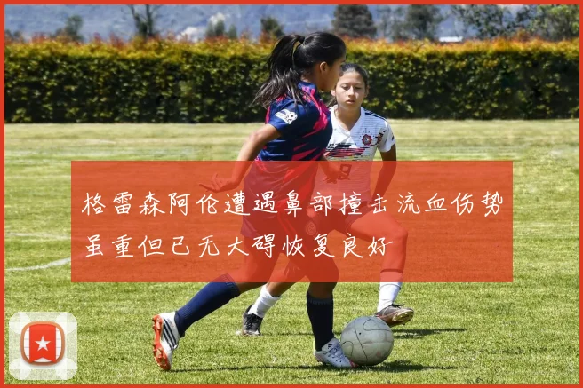 格雷森阿伦遭遇鼻部撞击流血伤势虽重但已无大碍恢复良好