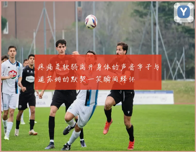 疼痛是软弱离开身体的声音华子与道苏姆的默契一笑瞬间释怀