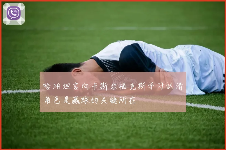 哈珀坦言向卡斯尔福克斯学习认清角色是赢球的关键所在